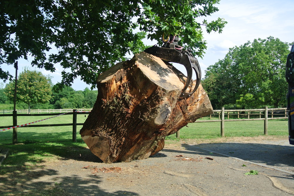 Symposium de sculpture à la tronçonneuse